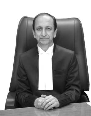 Judge