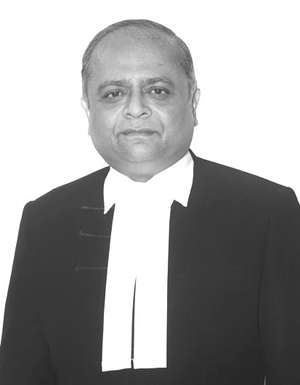 Judge