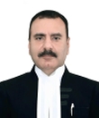 Judge