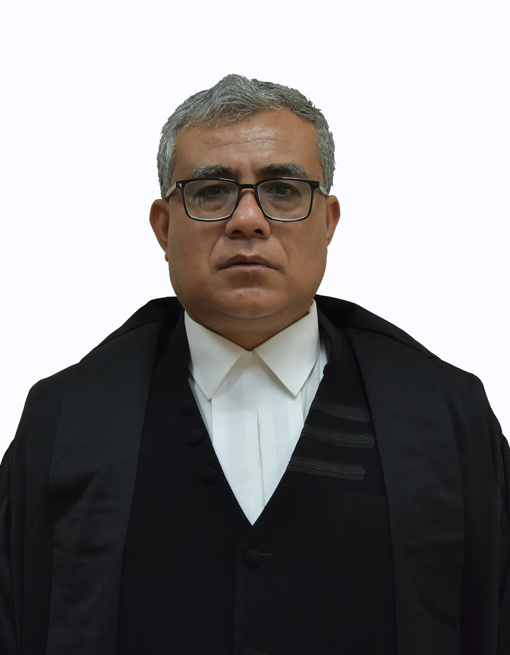 Judge