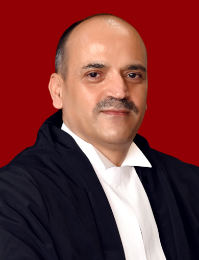 Judge