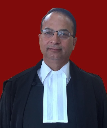 Judge