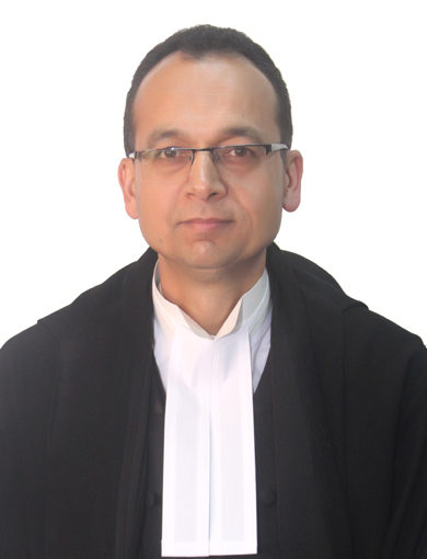 Judge
