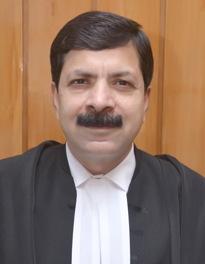 Judge