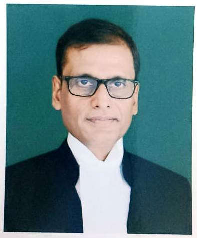 Judge