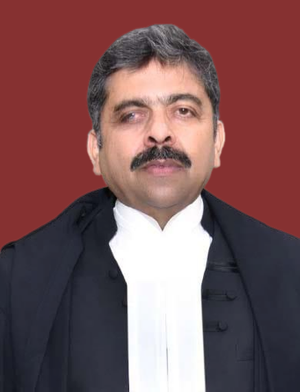 Judge