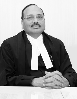 Judge