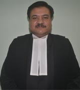 Judge