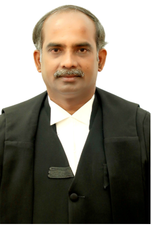 Judge