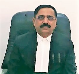 Judge