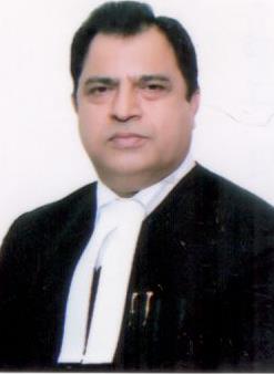 Judge